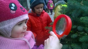 WP_20160307_029